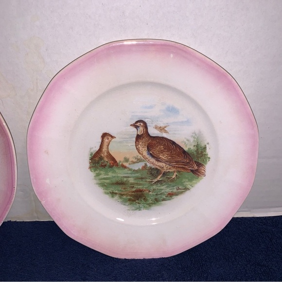 2 1920’s Antique Crescent China Co. Porcelain Bird Game Plates Pheasant Grouse - Picture 3 of 6